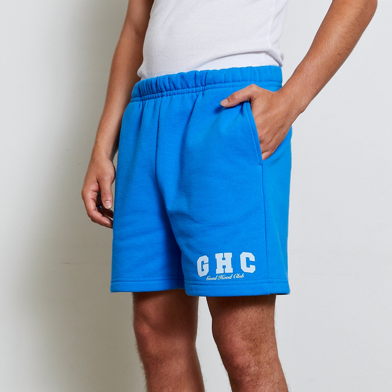Limited Edition: Varsity Shorts in Blue
